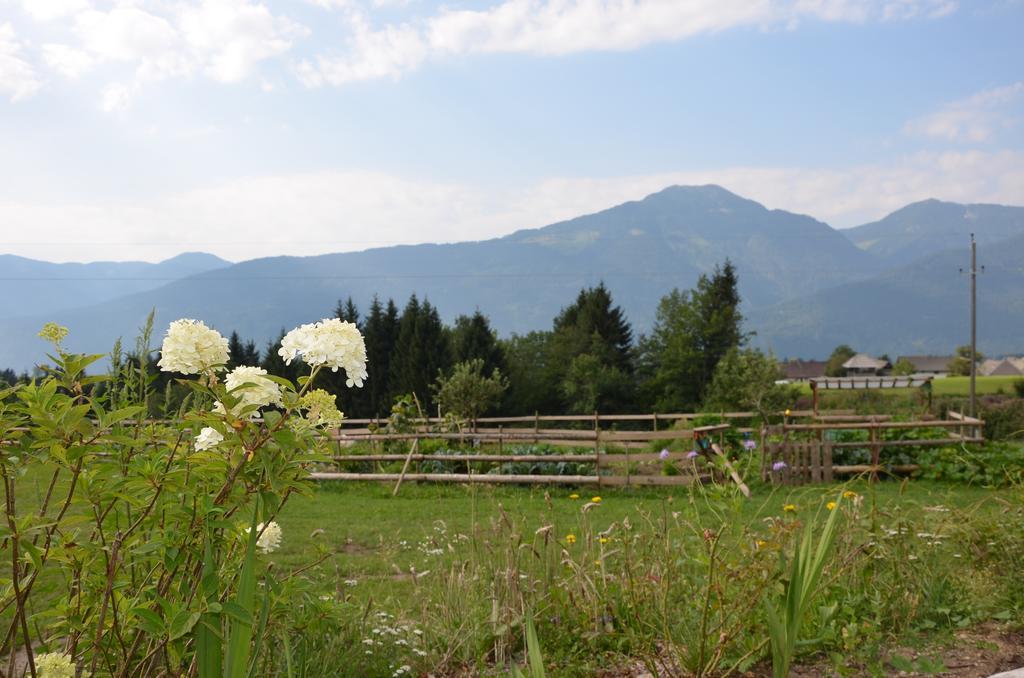Naturgut Gailtal Sankt Stefan an der Gail Exterior photo